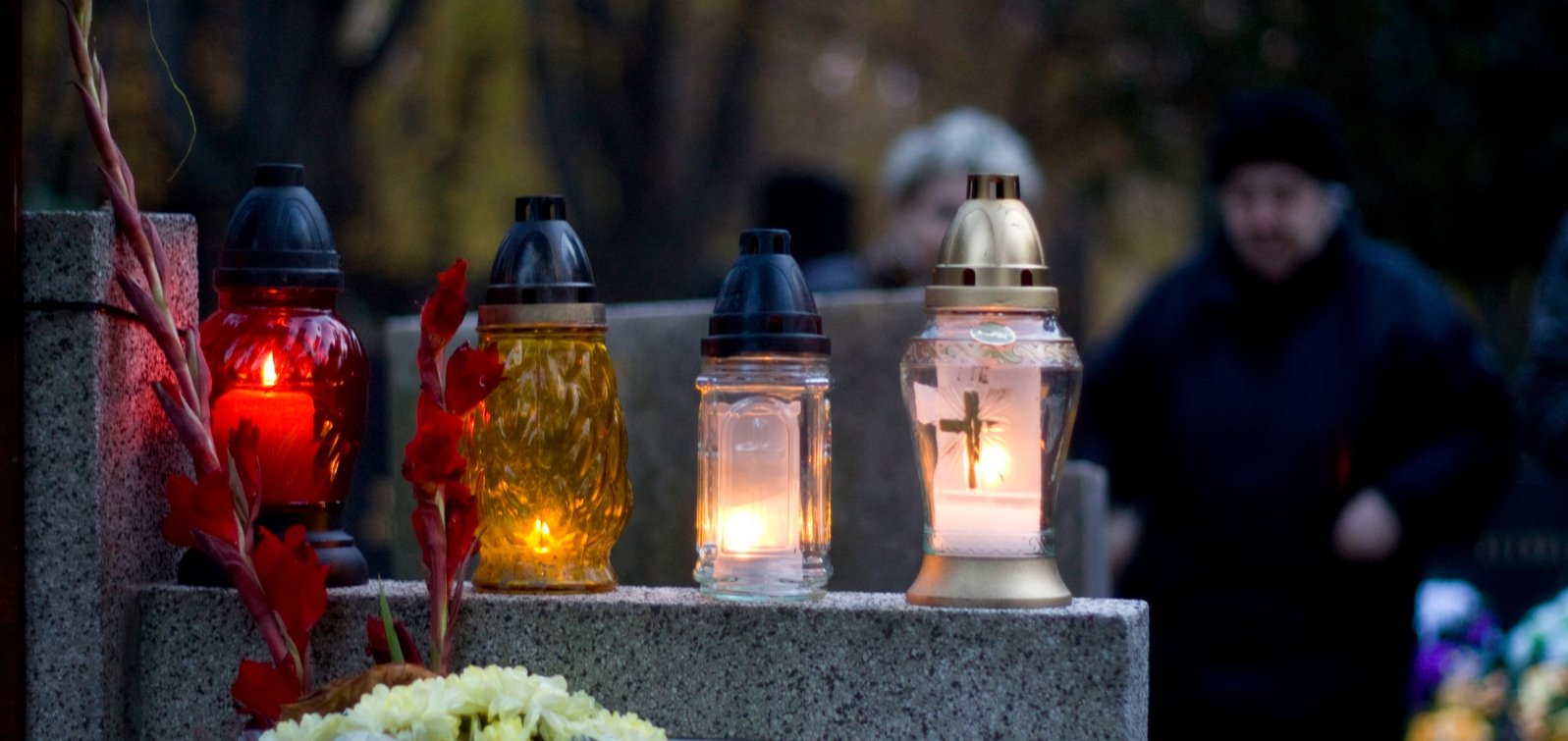 dusicky-5895545_by_pavelba_pixabay_pfarrbriefservice (c) Foto: pavelba_pixabay_pfarrbriefservice