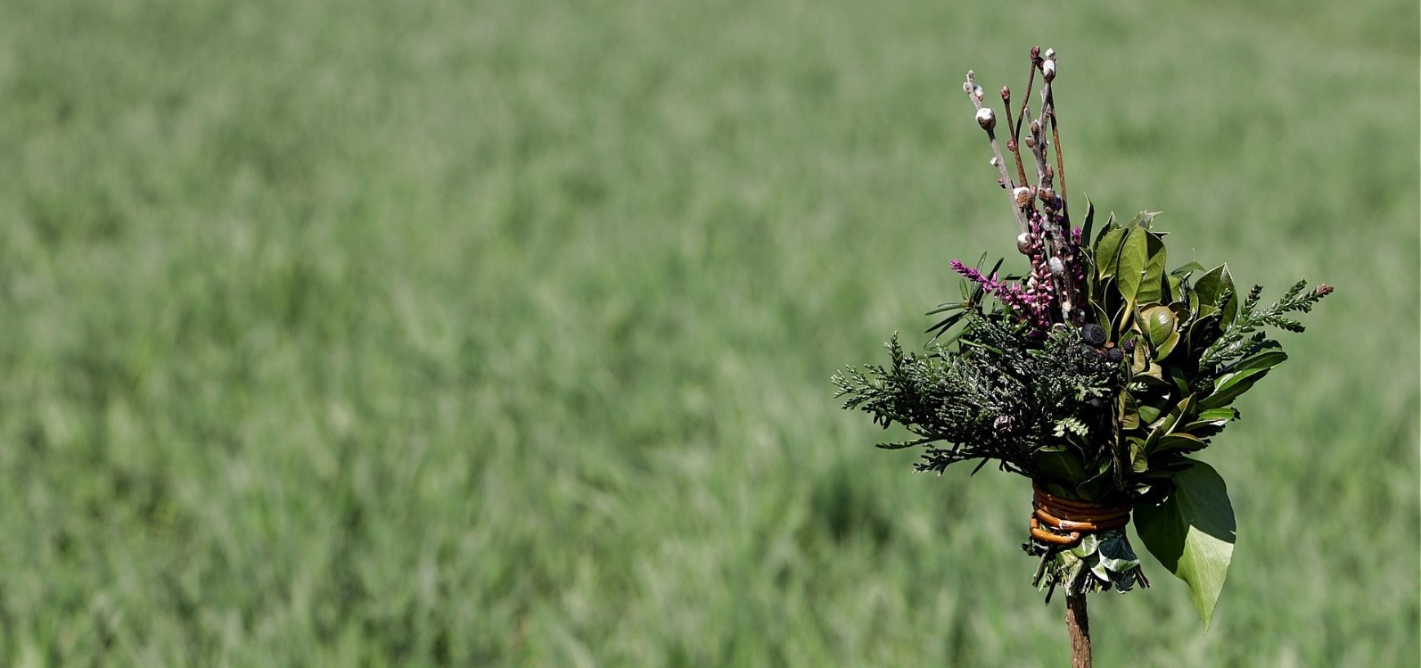 wfranz-palm-sunday-5015033_1920 (c) Pixabay W. Franz