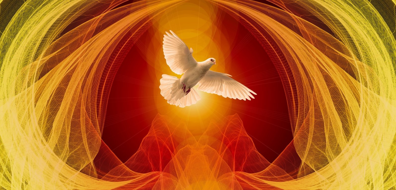 geralt-dove-4191376 (c) Pixabay